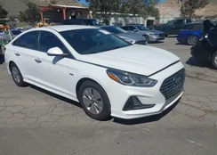 KMHE24L33JA080978: 44595587