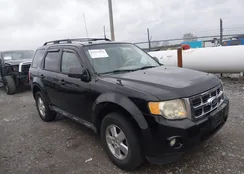 1FMCU9DG9CKA24041: 44597024