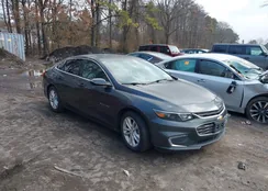 1G1ZE5ST3GF237806: 44597530