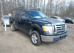 1FTEW1E80AFB20825: 44597885