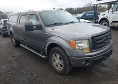 1FTFW1EV7AFC06594: 44597328