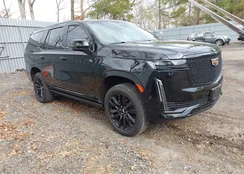 1GYS4GKL3RR339867: 44598560