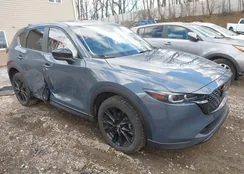 JM3KFBCM2P0157581: 44598945