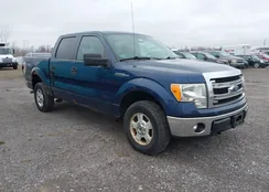 1FTFW1EF2EFC01107: 44598282