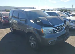 5FNYF3H9XCB013169: 44599813