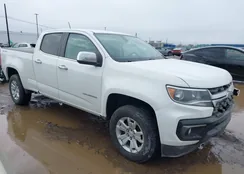 1GCGTCEN5M1243542: 44599873