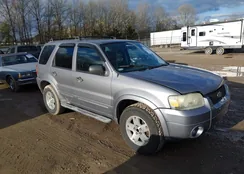 1FMYU93107KA06035: 44599083