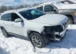 1C4PJMLB0LD579729: 44601496