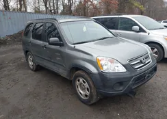 SHSRD78586U432620: 44603505