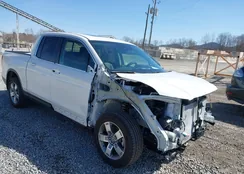 5FPYK3F51TB002824: 44603518