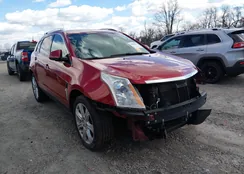 3GYFNEEY6AS507478: 44603831