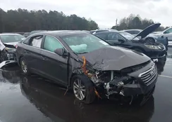 5NPE24AF2HH499392: 44603886