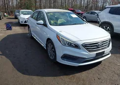 5NPE34AF8GH281551: 44606422