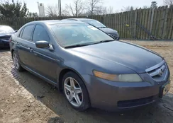 19UUA66236A043441: 44608053