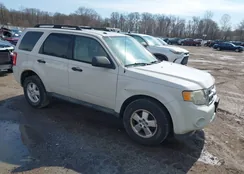 1FMCU9D77BKB92033: 44609778