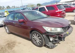 1HGCR2F81EA304050: 44609243