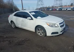 1G11C5SA5DF196012: 44610951