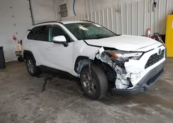 2T3P1RFV1SC502339: 44613689