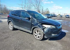 1FMCU9J93FUA35101: 44613247