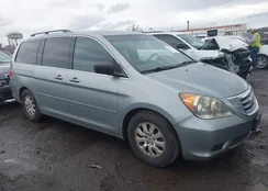 5FNRL38699B048149: 44616017