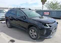 JTMMWRFV7RD219101: 44618645