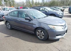 1HGCR2F33EA084866: 44619637