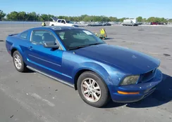 1ZVHT80N085175283: 44619684