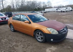 1N4BA41EX4C841096: 44619232