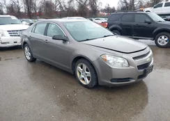 1G1ZA5EB5AF272191: 44620700