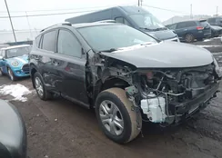 JTMBFREVXD5014092: 44622755