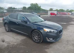 KNALN4D7XF5189164: 44625682