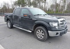 1FTFW1EF9DFD60981: 44626336