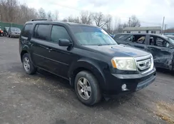 5FNYF3H77BB012218: 44628087