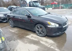 1N4AA5AP8EC487812: 44628118