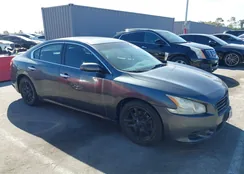 1N4AA5AP8BC830453: 44629453