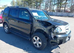 5FNYF48699B012325: 44629758