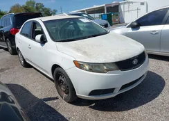 KNAFT4A29A5212891: 44629201