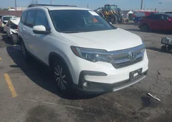 5FNYF5H50LB014100: 44631753