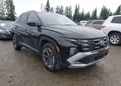 5NMJB3DE1SH563549: 44636575