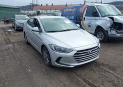 5NPD84LF0HH171024: 44637553