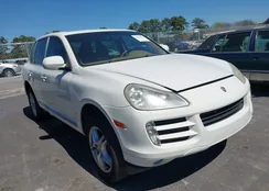 WP1AA29P19LA03657: 44639554