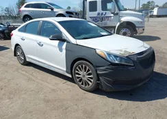 5NPE34AF2FH162005: 44639715