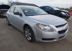 1G1ZB5E16BF147934: 44641439