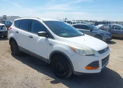 1FMCU0F72DUA86556: 44643273