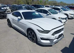 1FA6P8TH2F5306012: 44644488