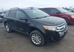 2FMDK3GC1DBA78994: 44644336