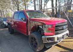 1FTEW1EG2HFC12147: 44646553