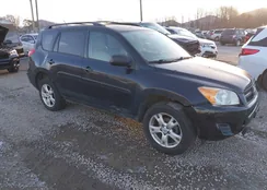 JTMBF4DV1B5040940: 44646830