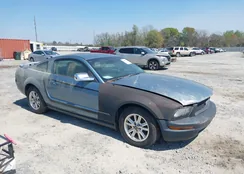 1ZVFT80N075228909: 44652179