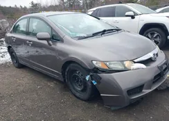 2HGFA1F59AH528991: 44661671